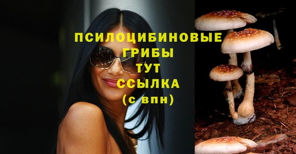 трава Ельня