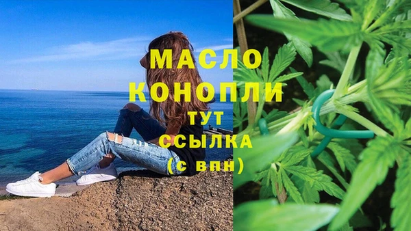 трава Ельня