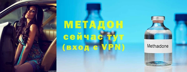 трава Ельня