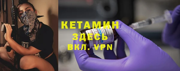 трава Ельня