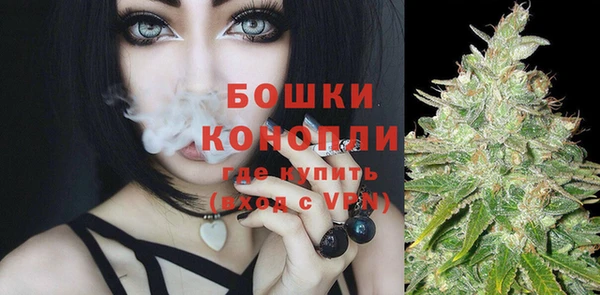 трава Ельня