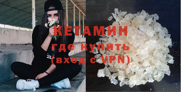 трава Ельня