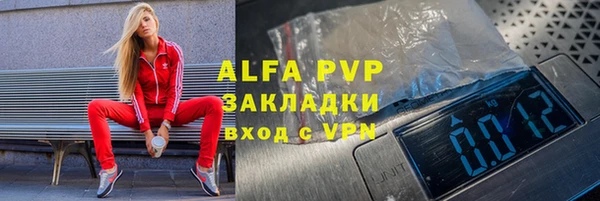 трава Ельня