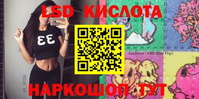 прущие крисы Кандалакша