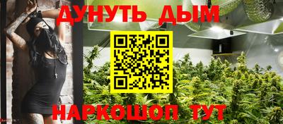 прущие крисы Кандалакша