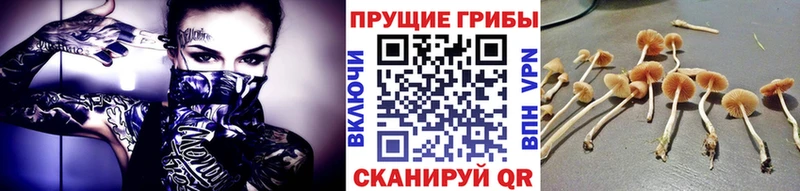 Галлюциногенные грибы мухоморы  Свободный 