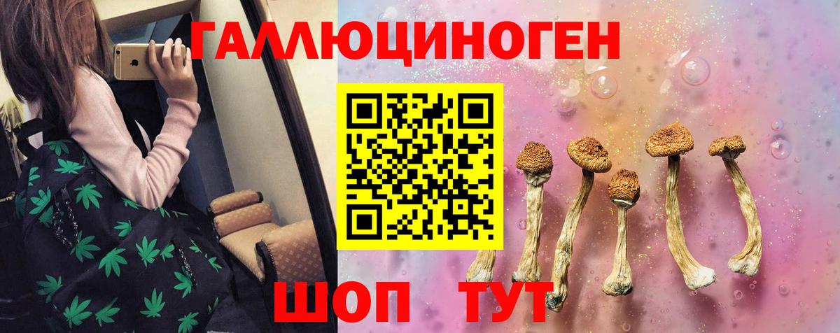Псилоцибиновые грибы GOLDEN TEACHER  Галлюциногенные грибы MAGIC MUSHROOMS  Вход с VPN  Свободный 