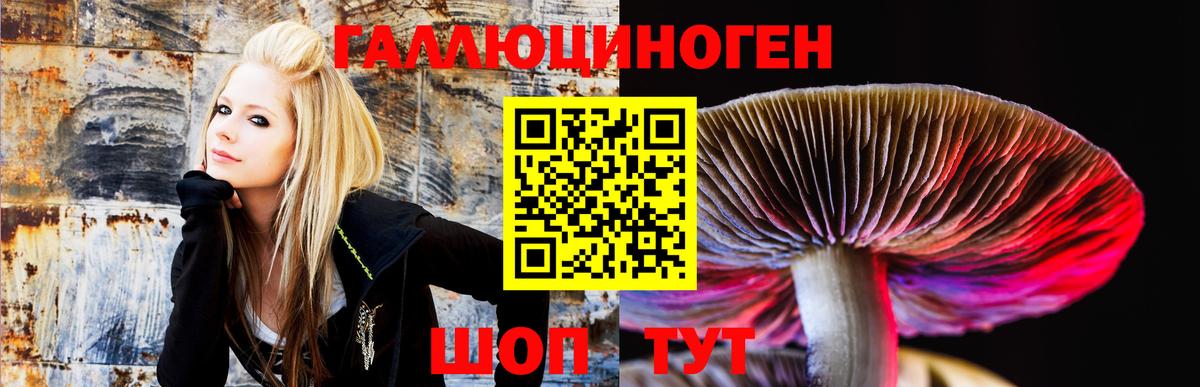 Псилоцибиновые грибы ЛСД Свободный
