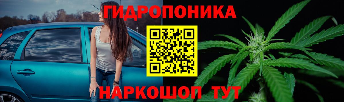 Марихуана конопля  Шишки марихуана Amnesia  Вход с VPN  Шишки марихуана тримм  Свободный 